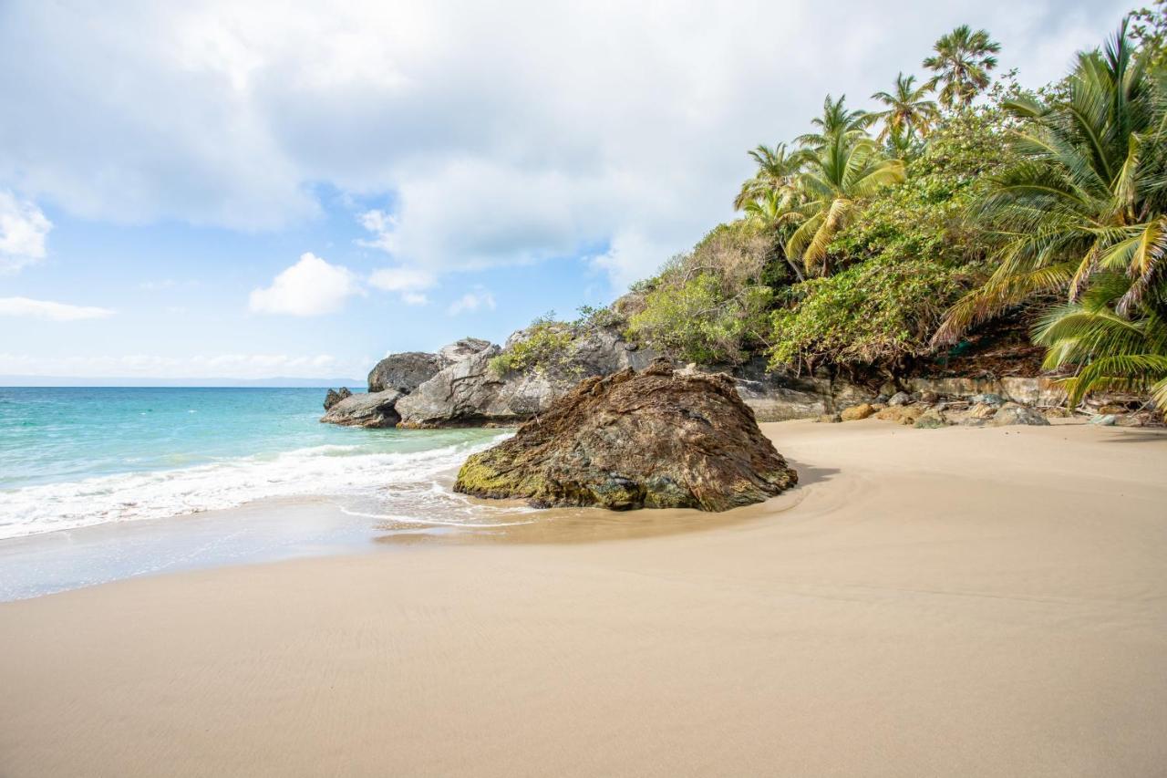 Apartamento En Vista Mare Samana 外观 照片