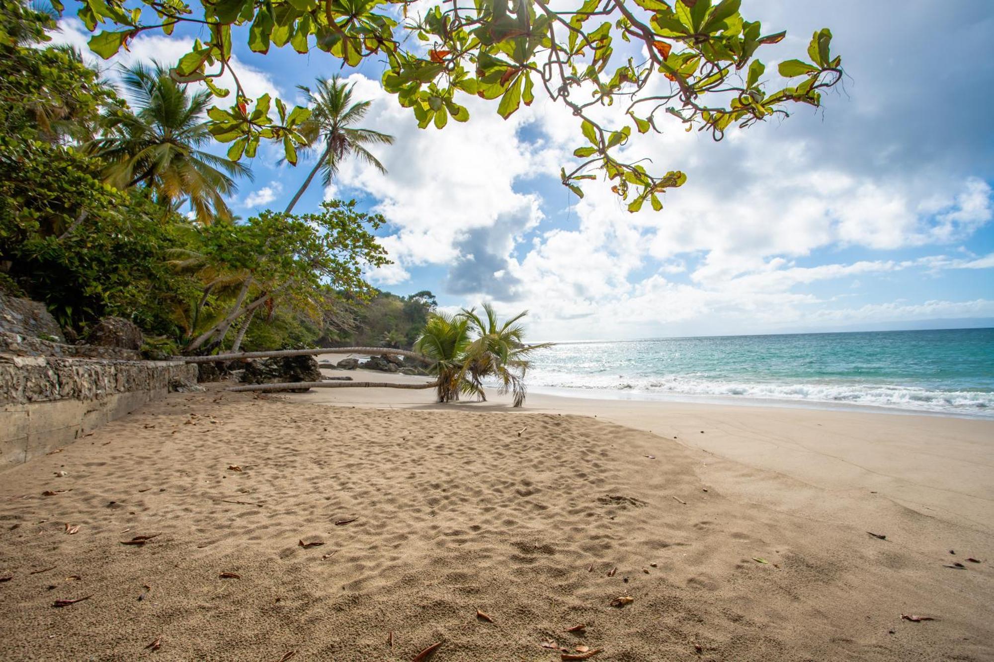 Apartamento En Vista Mare Samana 外观 照片